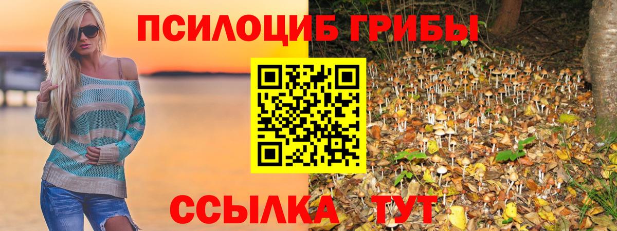 МЕФ Люберцы