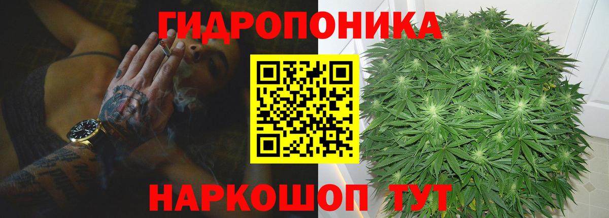 Бошки Шишки VHQ Люберцы